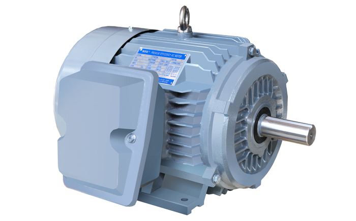 NE系列高效高轉(zhuǎn)矩三相異步電動(dòng)機(jī)
