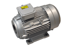 多級(jí)泵專(zhuān)用電機(jī)