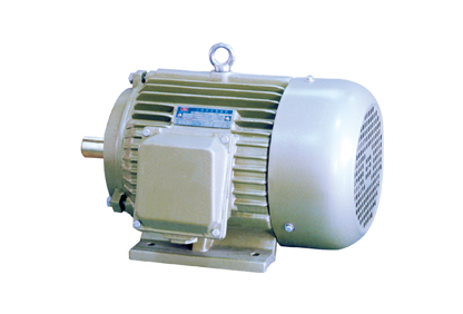 YD2系列變極多速三相異步電動(dòng)機(jī)