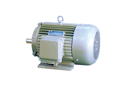 YH2系列高轉(zhuǎn)差率三相異步電動機