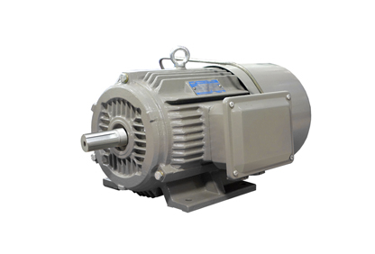 YEJ2系列電磁制動(dòng)三相異步電動(dòng)機(jī)